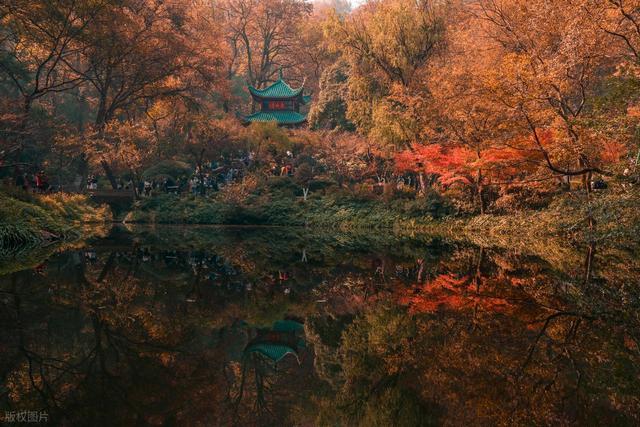 接下来，长沙的天花板级秋景在这里！一年中的颜值巅峰期，美哭！