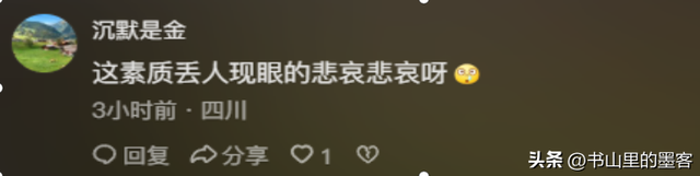 亚航飞机打架事件后续：原因曝光，双方都有受伤，结局令人惋惜！