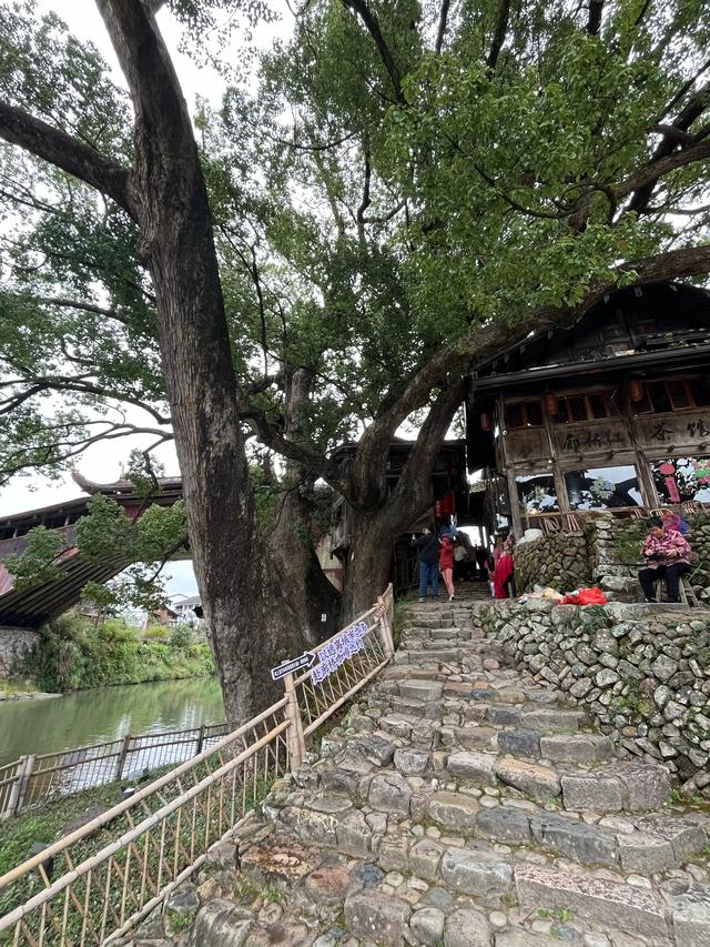 退休夫妻自驾温州泰顺之仕水古镇、胡氏大院、廊桥文化园