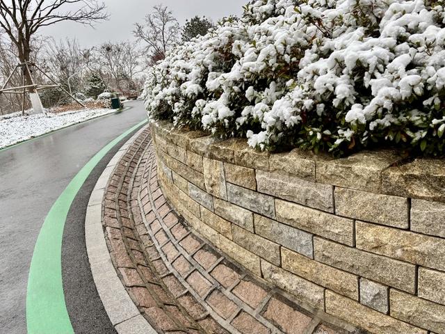 瑞雪飘然而至中国海滨城市青岛