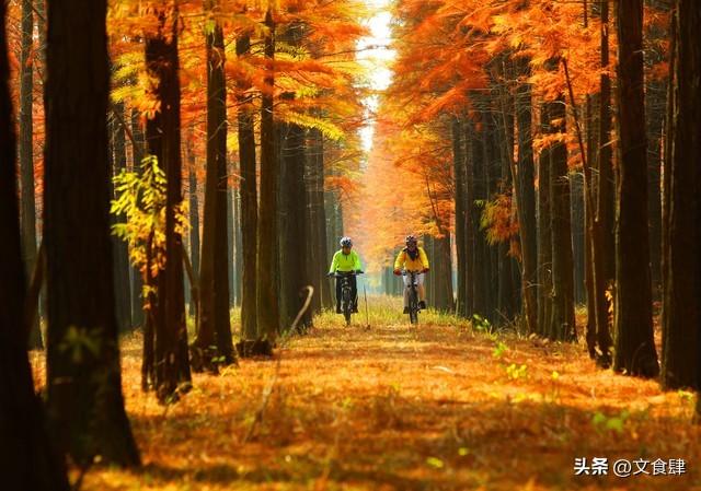 张家口旅游全攻略：必游景点与必吃美食，一篇搞定！