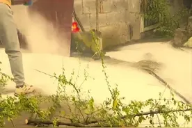 头七伯伯回来，在草木灰上留下了这个字图片