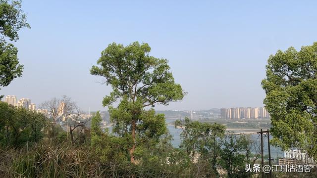 立马五峰天地小，群山俯首拜英雄，泸州小市五峰顶有历史