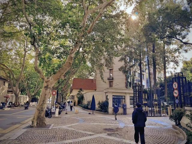 周五宠粉日|国庆赏秋,快收藏这份上海Citywalk指南,更有豫园门票等你来领!