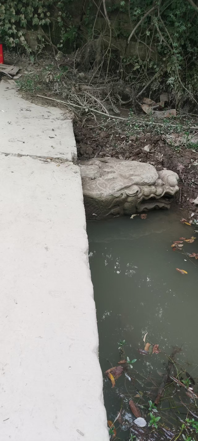 成都简阳：重访东溪桥——在汗水中打捞被遗忘的龙头