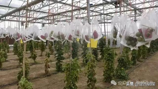 在定西，每一处景观都在诉说着成长