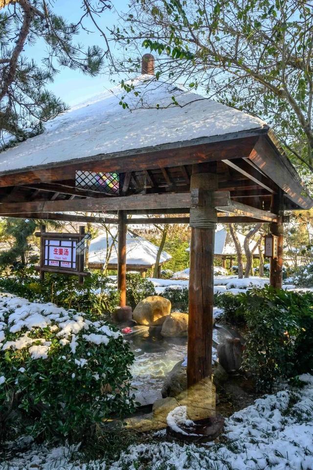 董宇辉向世界推荐，“请花几天时间去山东”！