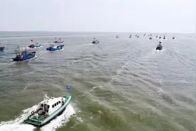 期待 | 开海啦！大旁开、皮皮虾们要来啦！图片
