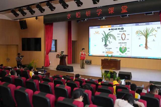 蜜蜂谷里探秘忙！“阅·自然”公益课堂开启自然研学之旅