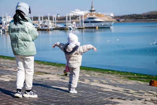 来日照看海鸥！位置→