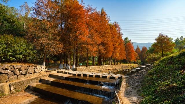 广东冬日封神路线！红叶燃秋、银杏铺金、禅钟洗心，12月出发正好