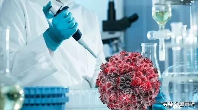 “尼帕病毒”来势汹汹，呼吁：每家备好5样东西，关键时刻能救命