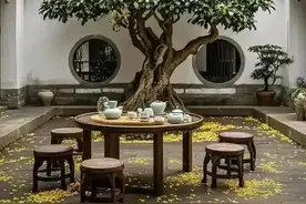 院子里最旺宅的六种树和六大“鬼树”看看你知道多少图片