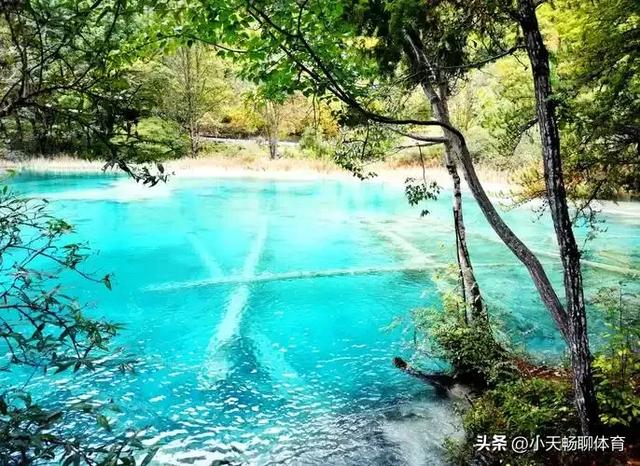 大美中国！无论你是否热爱旅行，这十个景区都值得一去