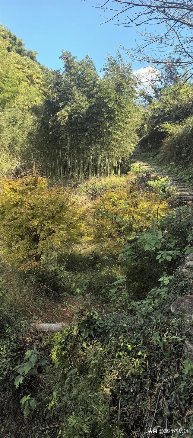 徒步奉化大雷山，古村、古道、梯田、秋景全部包揽