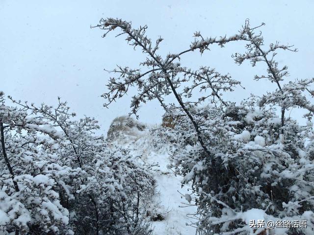 图集丨初雪如诗！焉支山披上冬日“银装”