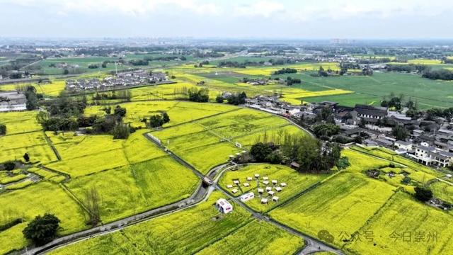 保护规划获批，崇州这个历史文化名村将有新动作！