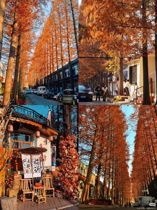 原来真的有城市，可以一天24小时都快乐~（2）