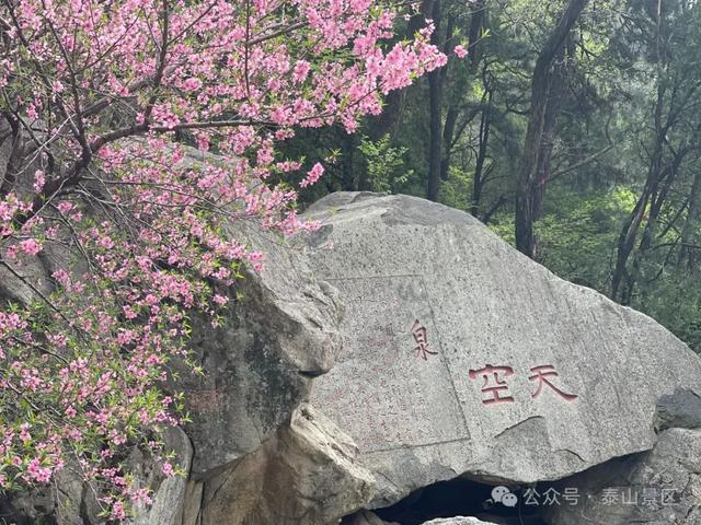 泰山中天门：春末夏初的绮梦之境