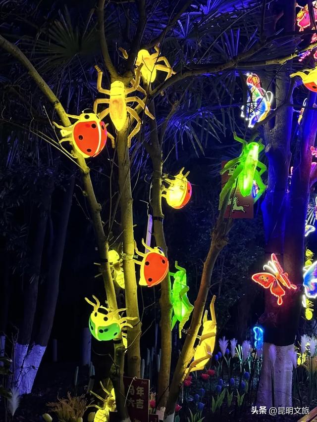 世博园大型灯展！最新剧透来啦