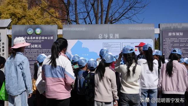 童心守护滇池蓝！小营员探秘湿地学科普