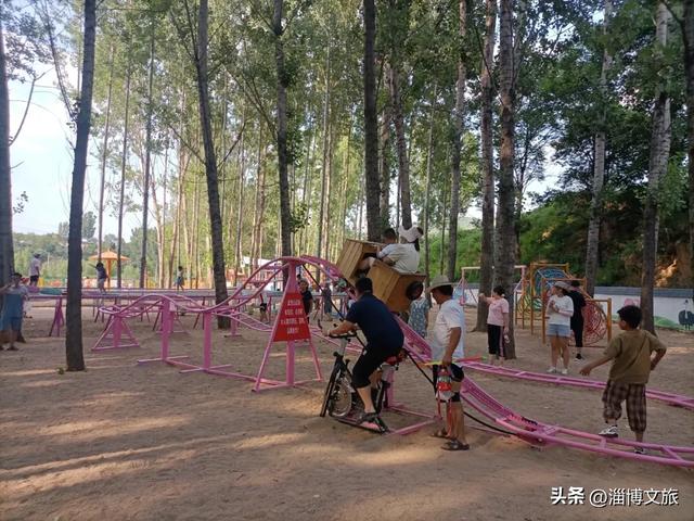 火了！淄博有处“小黄龙”，你来打卡了吗？