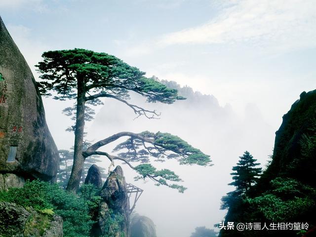 黄山：文化与山水的浪漫之约