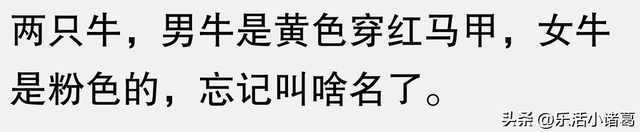 分享一个你心中最冷门而且好看的动画片！看评论区都是没有看过的