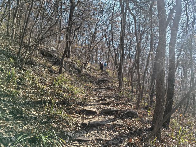 南京第二次到镇江武岐山空青山郊野徒步