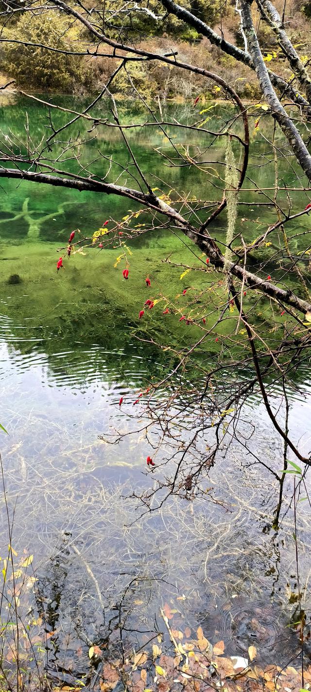 神仙池（一）竖幅