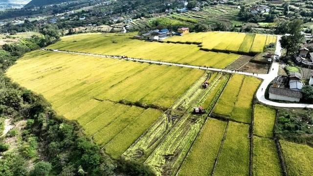 四川省德昌县历史沿革及行政区划