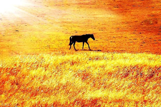 去外地旅游，要不要联系老同学？