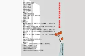 狗狗尿道问题，值得收藏图片