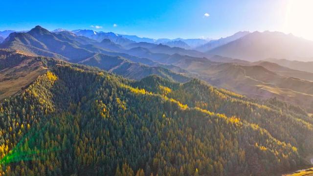 甘肃民乐：祁连山层峦叠嶂尽染秋色
