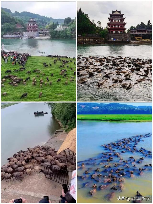 南充漫游指南——嘉水千年韵，阆苑梦中寻