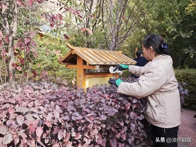 洁净景区齐守护：区文旅局开展“全域无垃圾·景区更美丽”新时代文明实践行动#厚道甘肃