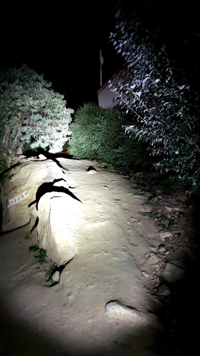 爬拉萨哲蚌寺后山，从海拔3600米到山顶5300米，上下20公里