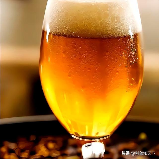 啤酒再次成为关注中心！医生发现：喝啤酒时，千万多留意这三点！