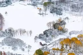 郑州北龙湖雪后如画，宛如水墨丹青！太美了图片