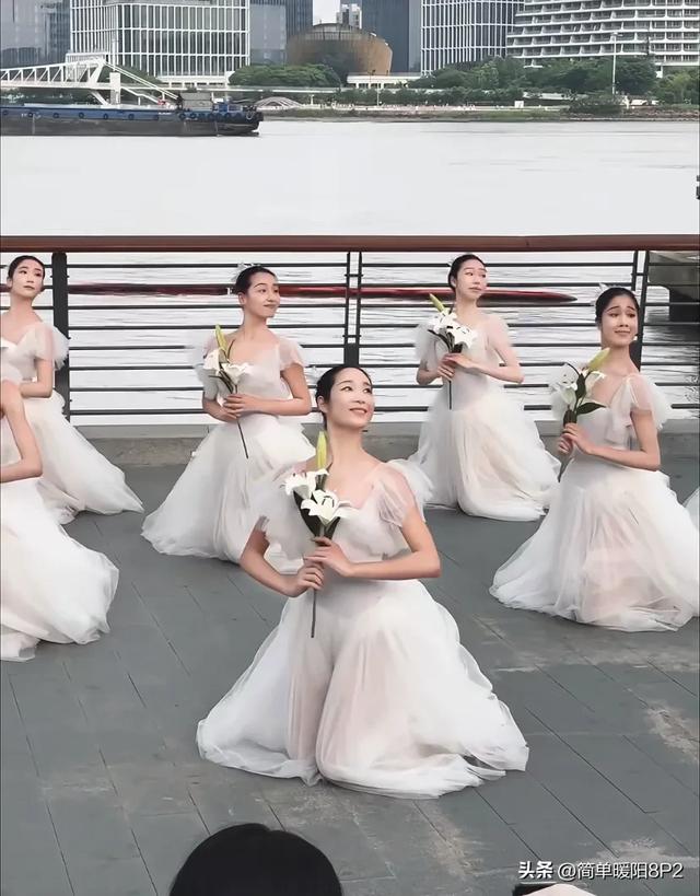 还得是上海：处处透着精致，不像我老家：广场舞震耳欲聋的音乐，