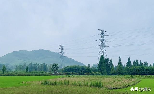 风向变了！中央放大招，农村这次要彻底翻身