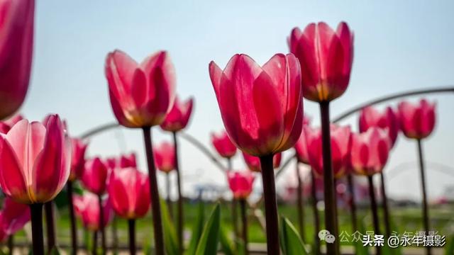 自驾环游中国行（六）江苏启东