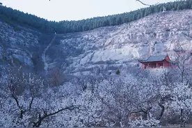 ꕥꕥꕥꕥꕥ~想～开～了～ꕥꕥꕥꕥꕥ图片
