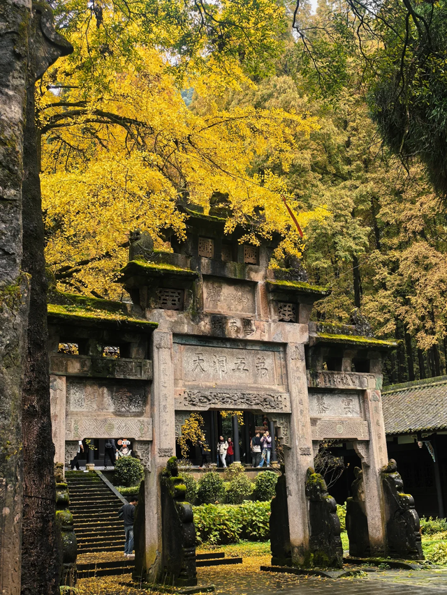 成都1h直达！这座千年古寺美到封神，看银杏+徒步+领奖牌，巴适！