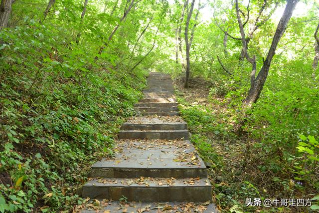 河北百草畔（上）：风动孤石悬险韵，蚁巡深岭蕴生机