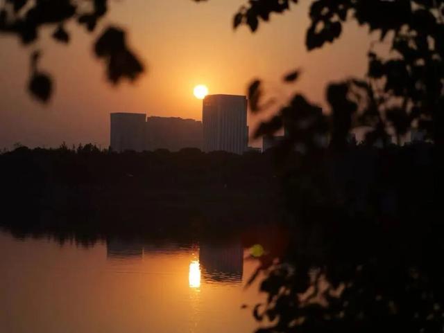 22℃！气温回升！这份温差版江北限定出游指南收好！