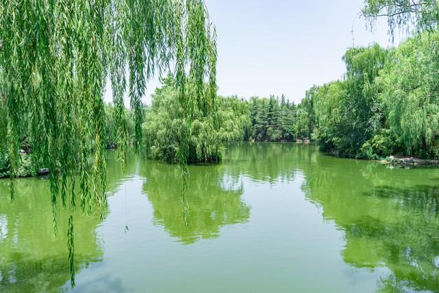 女人玩弄男人的“手段”，很真实的细节，男人别不当回事