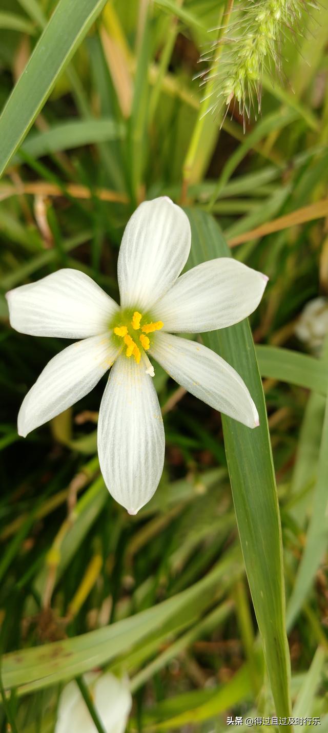 庐山游记-01来庐山，心悠然