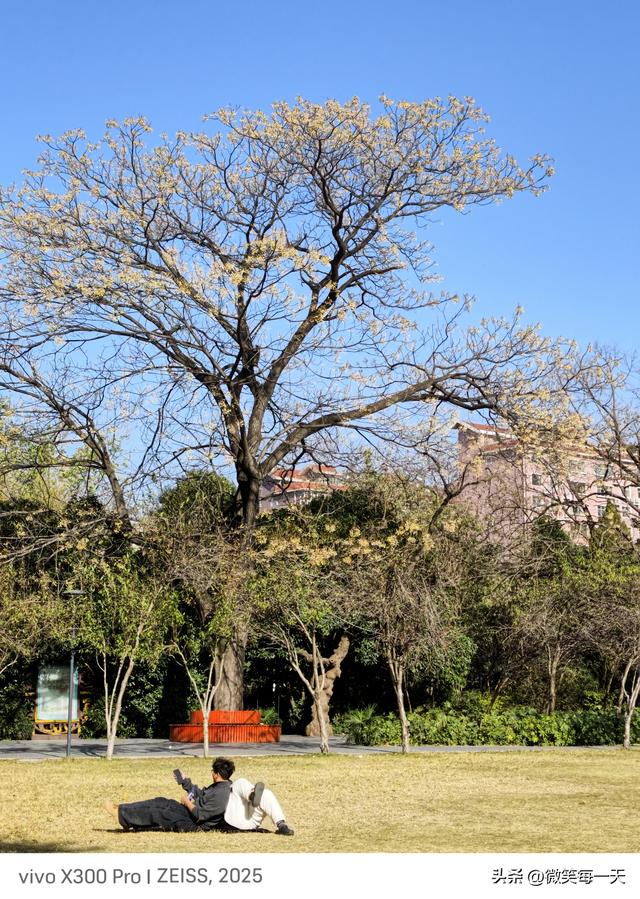 碧沙岗的秋，是郑州偷给我的半日温柔