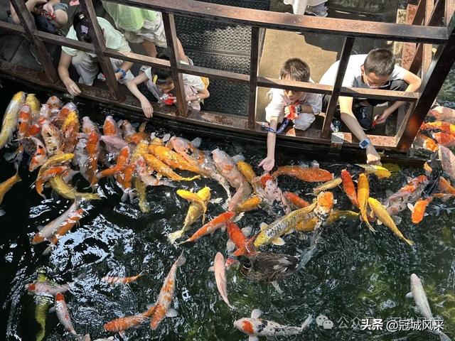 苏州城韵·张澄桥与寒山寺